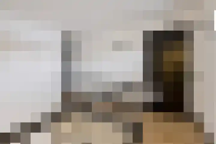 Mauritslaan 42 Best thumbnail 37