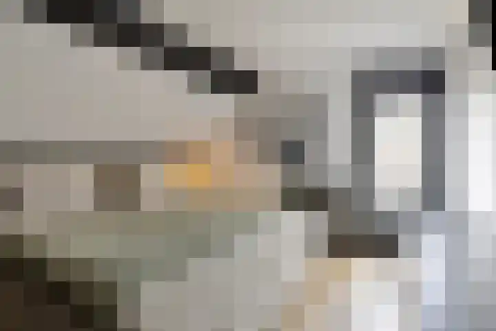 Mauritslaan 42 Best thumbnail 39