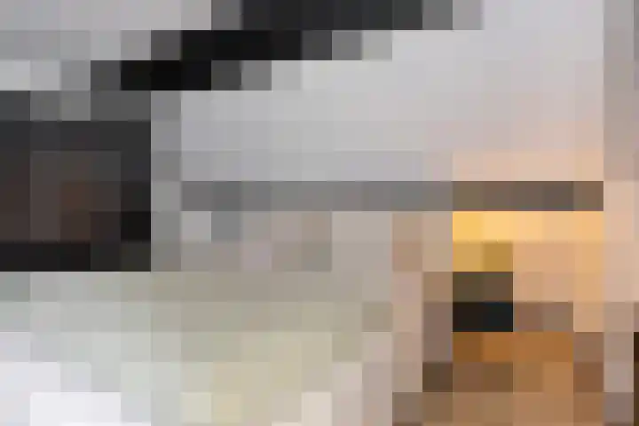 Mauritslaan 42 Best thumbnail 40