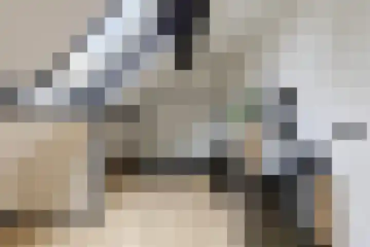 Mauritslaan 42 Best thumbnail 44