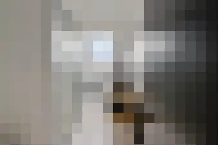 Mauritslaan 42 Best thumbnail 46