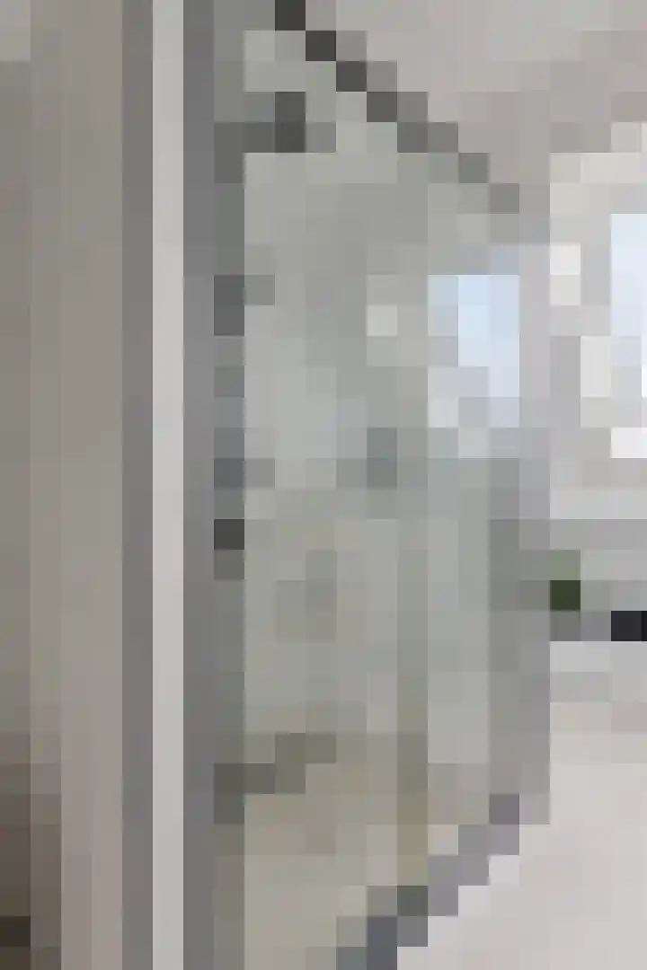 Mauritslaan 42 Best thumbnail 48