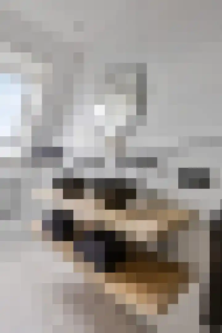 Mauritslaan 42 Best thumbnail 49