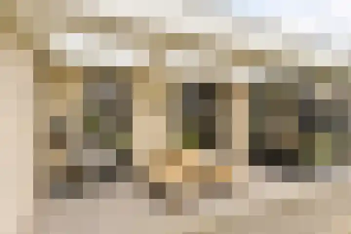Mauritslaan 42 Best thumbnail 50