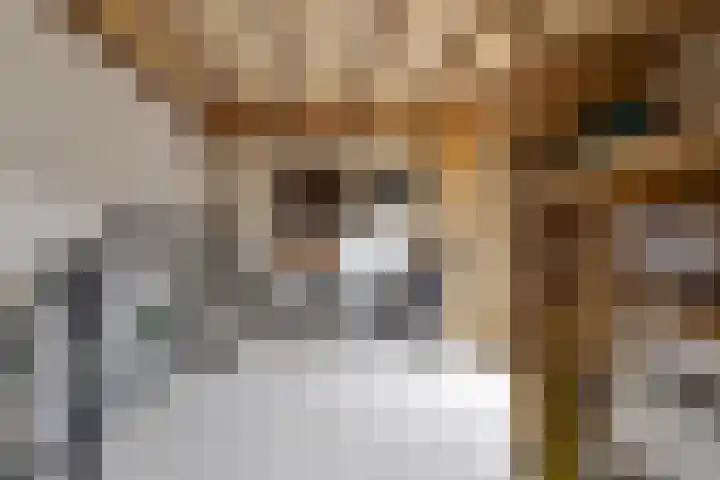 Mauritslaan 42 Best thumbnail 58
