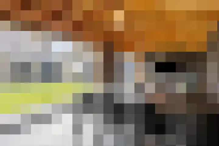 Mauritslaan 42 Best thumbnail 59