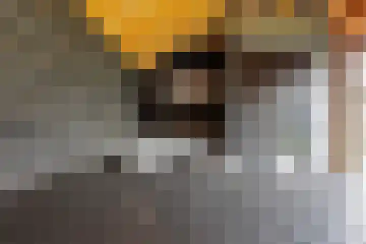 Mauritslaan 42 Best thumbnail 61