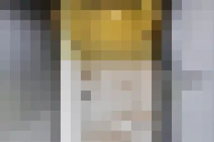 Mauritslaan 42 Best thumbnail 62