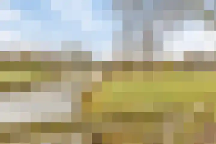 Mauritslaan 42 Best thumbnail 65