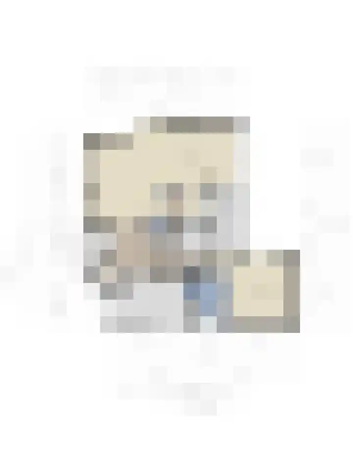 Mauritslaan 42 Best thumbnail 67