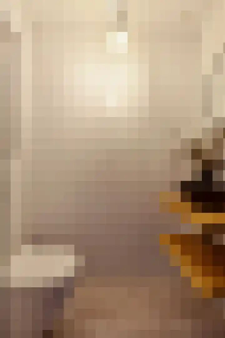 Mauritslaan 42 Best thumbnail 8