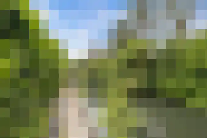 Mauritslaan 53 De Meern thumbnail 50