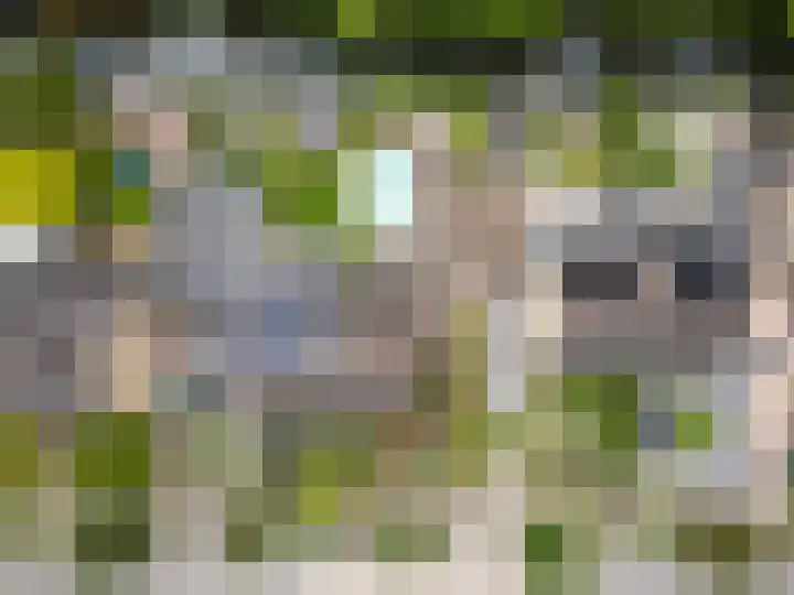 Mauritslaan 53 De Meern thumbnail 61