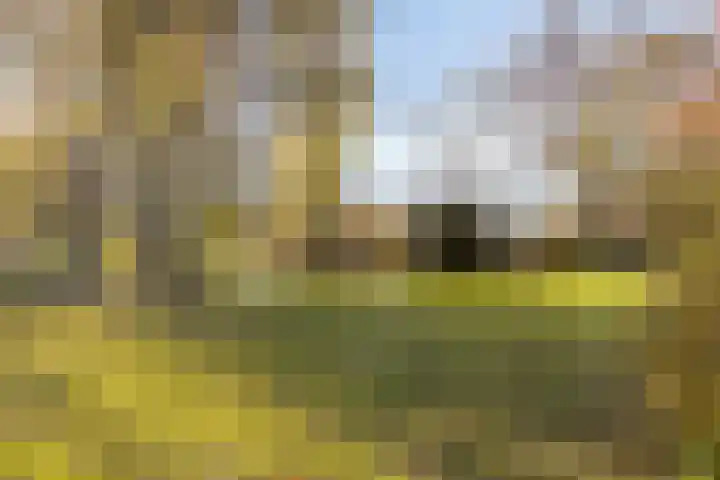 Mauritssingel 112 Leiderdorp thumbnail 30