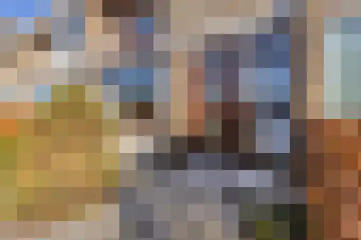 Mauritssingel 112 Leiderdorp thumbnail 6