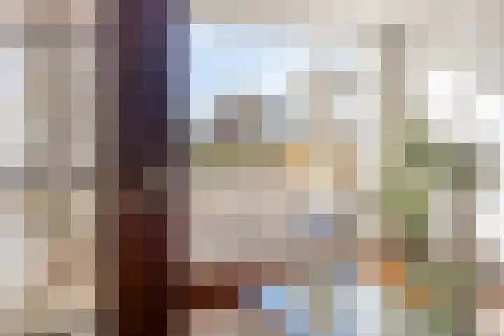 Mauritssingel 112 Leiderdorp thumbnail 8