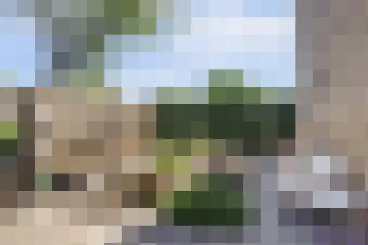 Mauritsstraat 10 Goes thumbnail 28