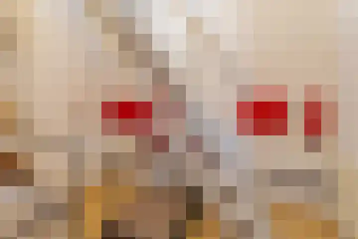 Mauritsstraat 10 Velp thumbnail 12