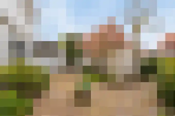 Mauritsstraat 10 Velp thumbnail 21