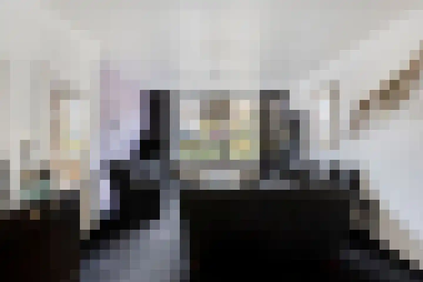Mauritsstraat 18 Lith thumbnail 10
