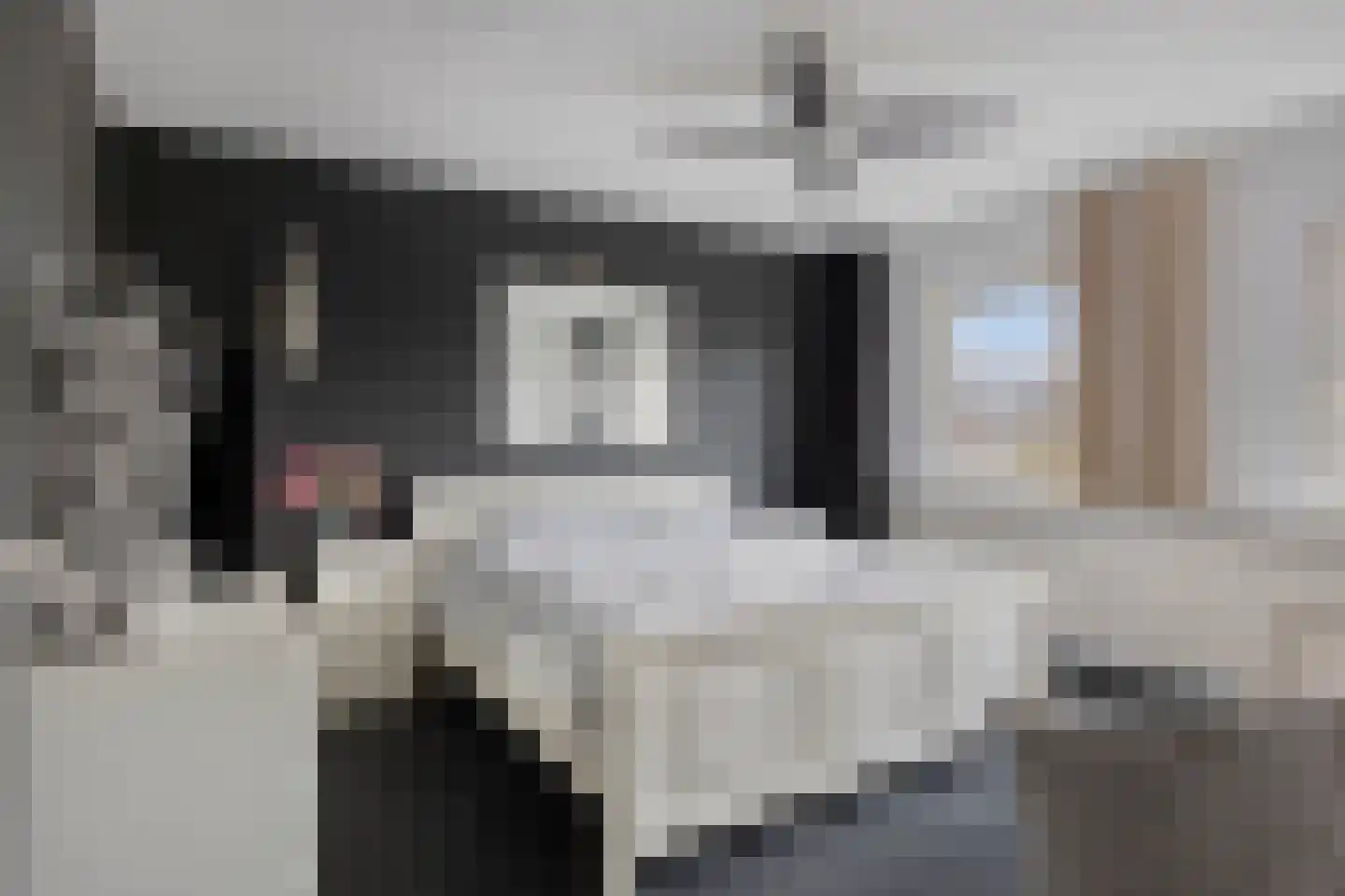 Mauritsstraat 18 Lith thumbnail 17