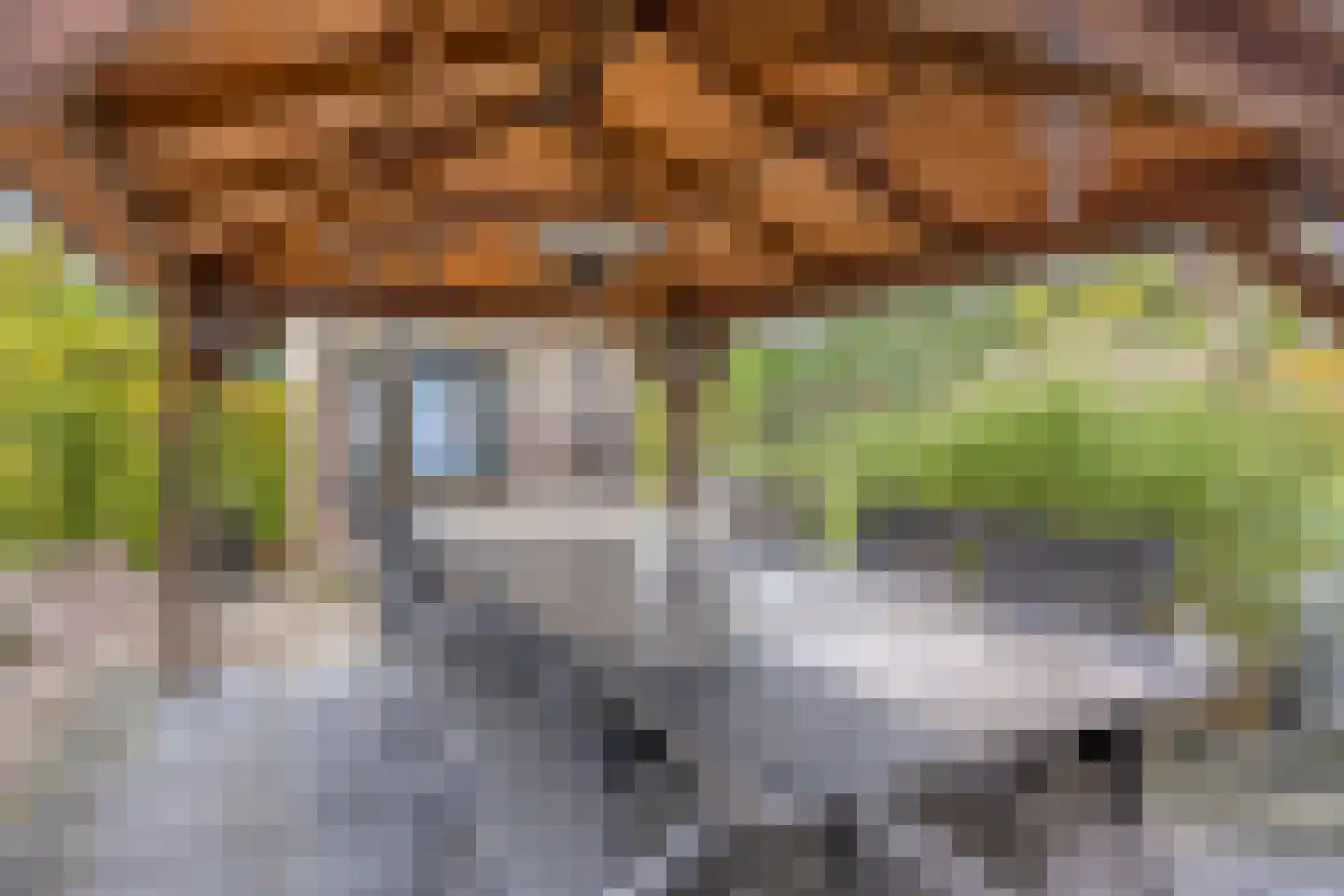 Mauritsstraat 18 Lith thumbnail 32