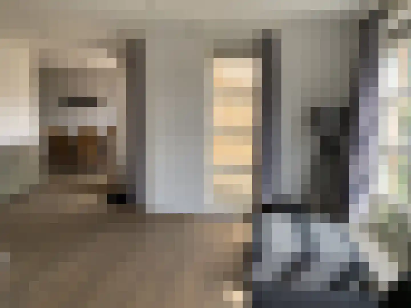 Mauritsstraat 7 A Lith thumbnail 10