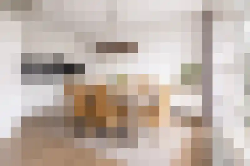 Mauritsstraat 7 A Lith thumbnail 12