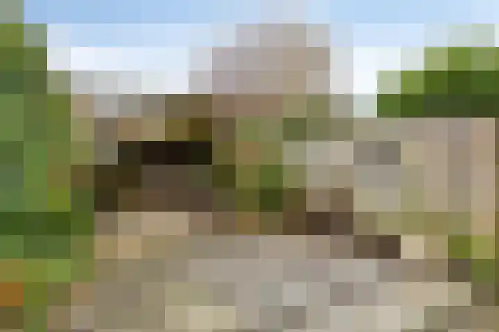 Mauritsweg 27 Ridderkerk thumbnail 27