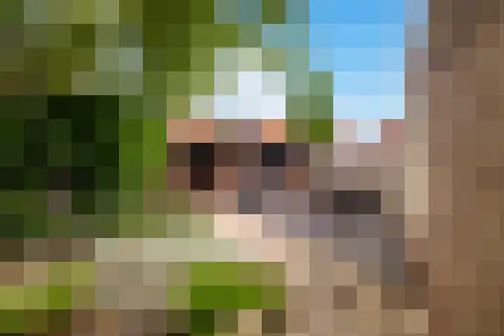 Mauritsweg 86 Stein thumbnail 19