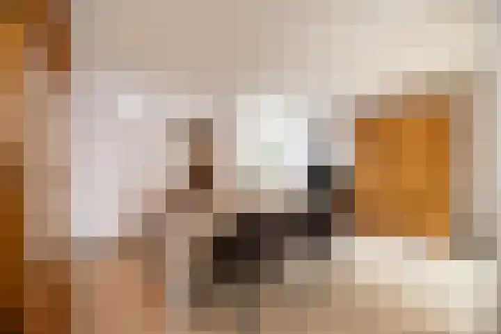 Mauritsweg 86 Stein thumbnail 8
