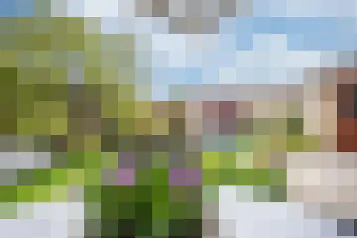 Maussenlaan 3 Landgraaf thumbnail 22