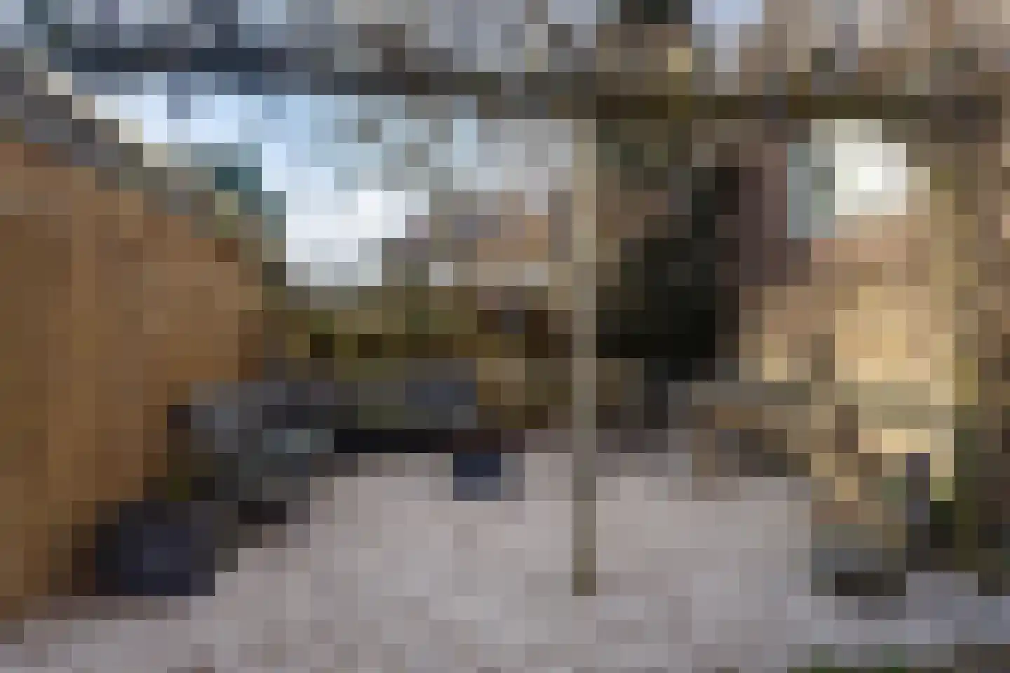 Mauvestraat 3 Baarn thumbnail 25