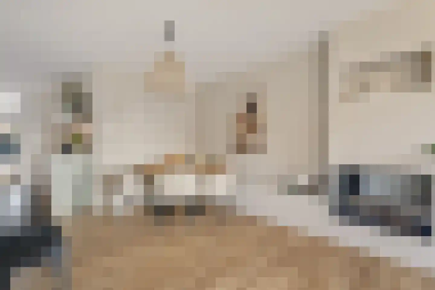 Mauvestraat 3 Baarn thumbnail 4