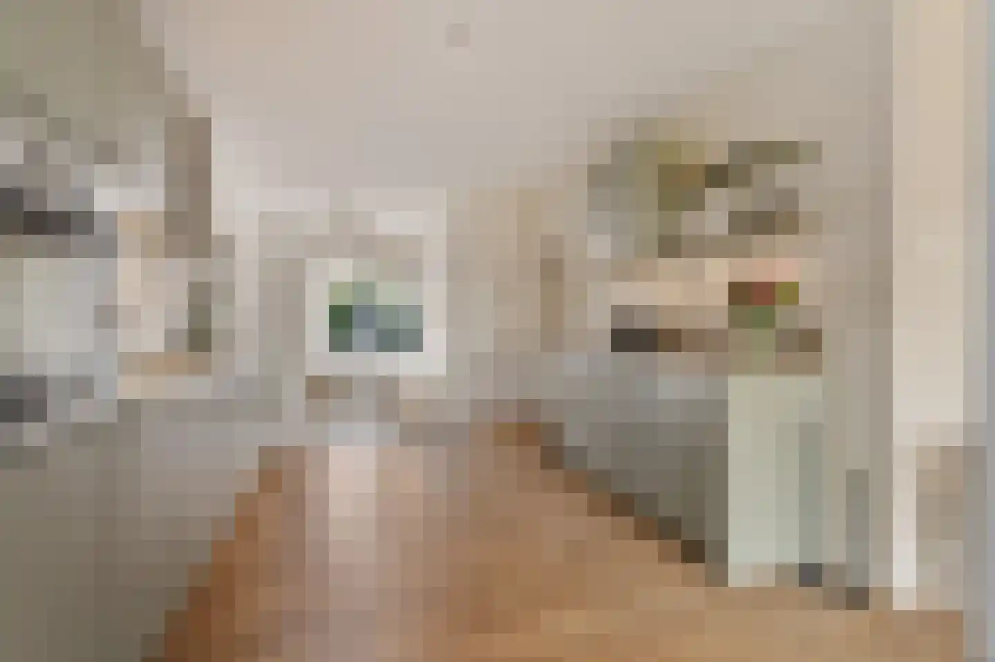 Mauvestraat 3 Baarn thumbnail 8