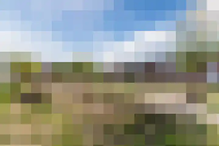 Maxburgh 10 a Roosendaal thumbnail 47