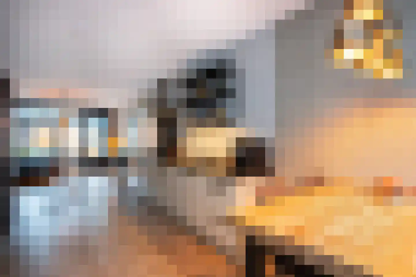 Maximalaan 4 Bladel thumbnail 8