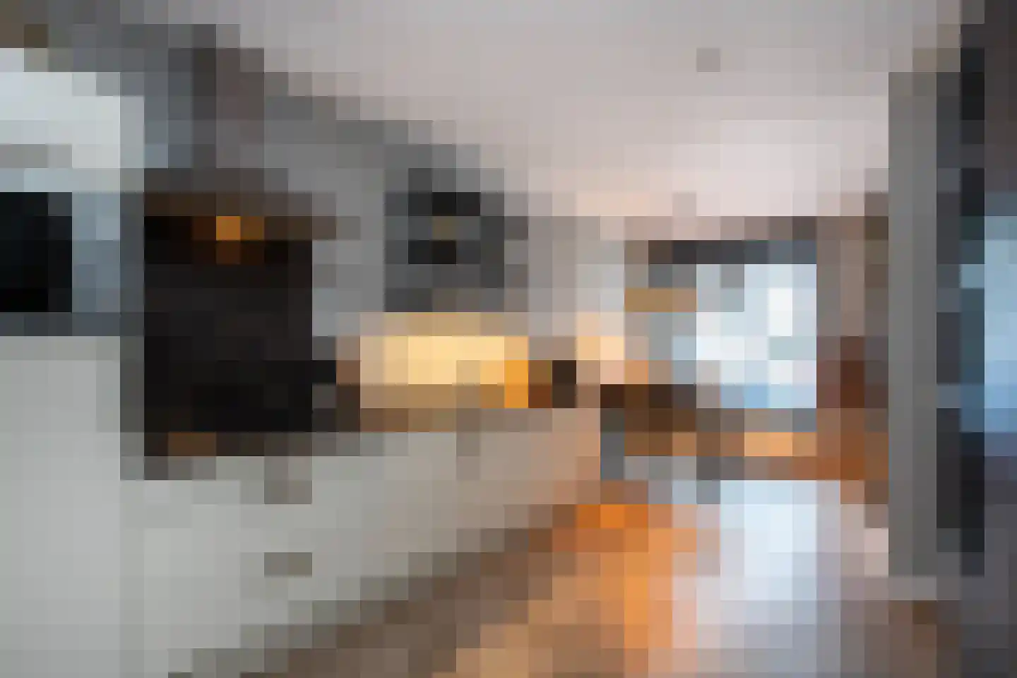 Maximalaan 4 Bladel thumbnail 9