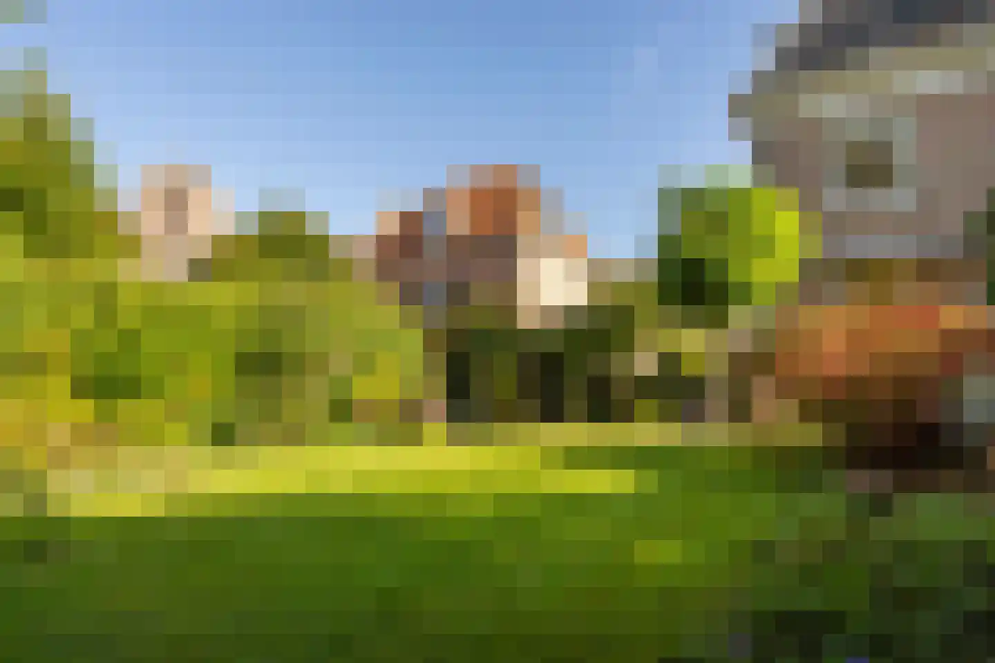 Mazijk 5 Wijk bij Duurstede thumbnail 10