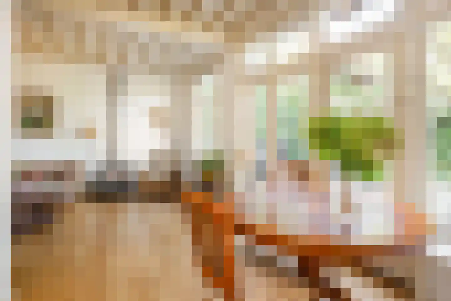 Mazijk 5 Wijk bij Duurstede thumbnail 11