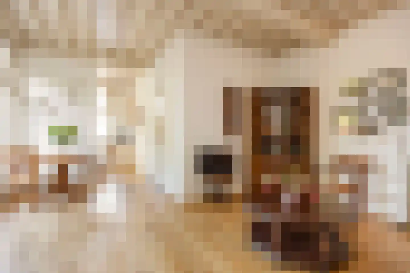 Mazijk 5 Wijk bij Duurstede thumbnail 12