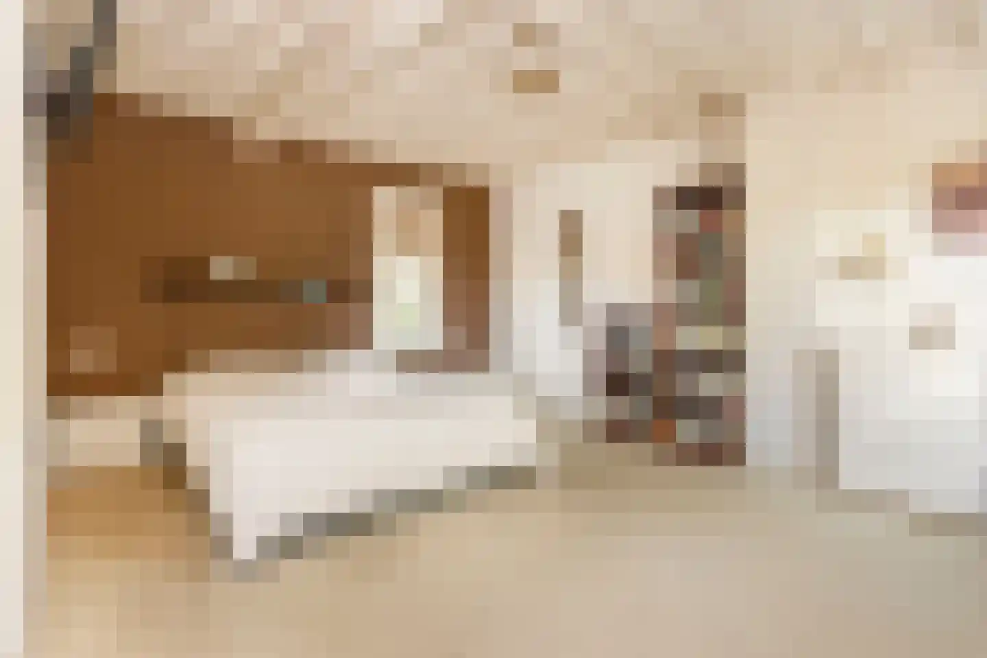 Mazijk 5 Wijk bij Duurstede thumbnail 20