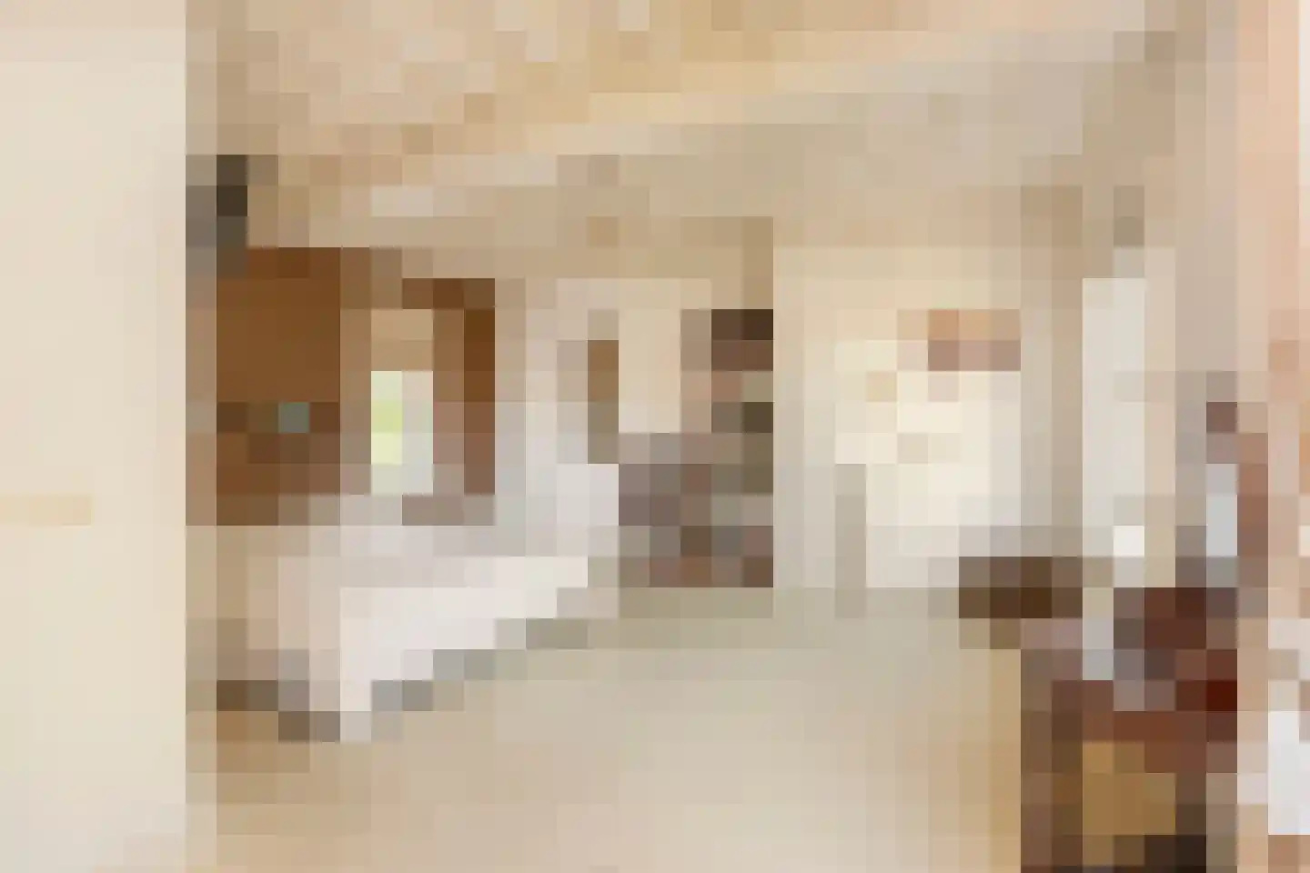 Mazijk 5 Wijk bij Duurstede thumbnail 22