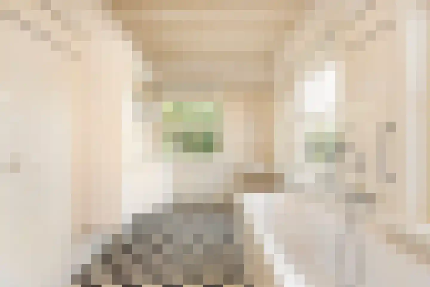 Mazijk 5 Wijk bij Duurstede thumbnail 23