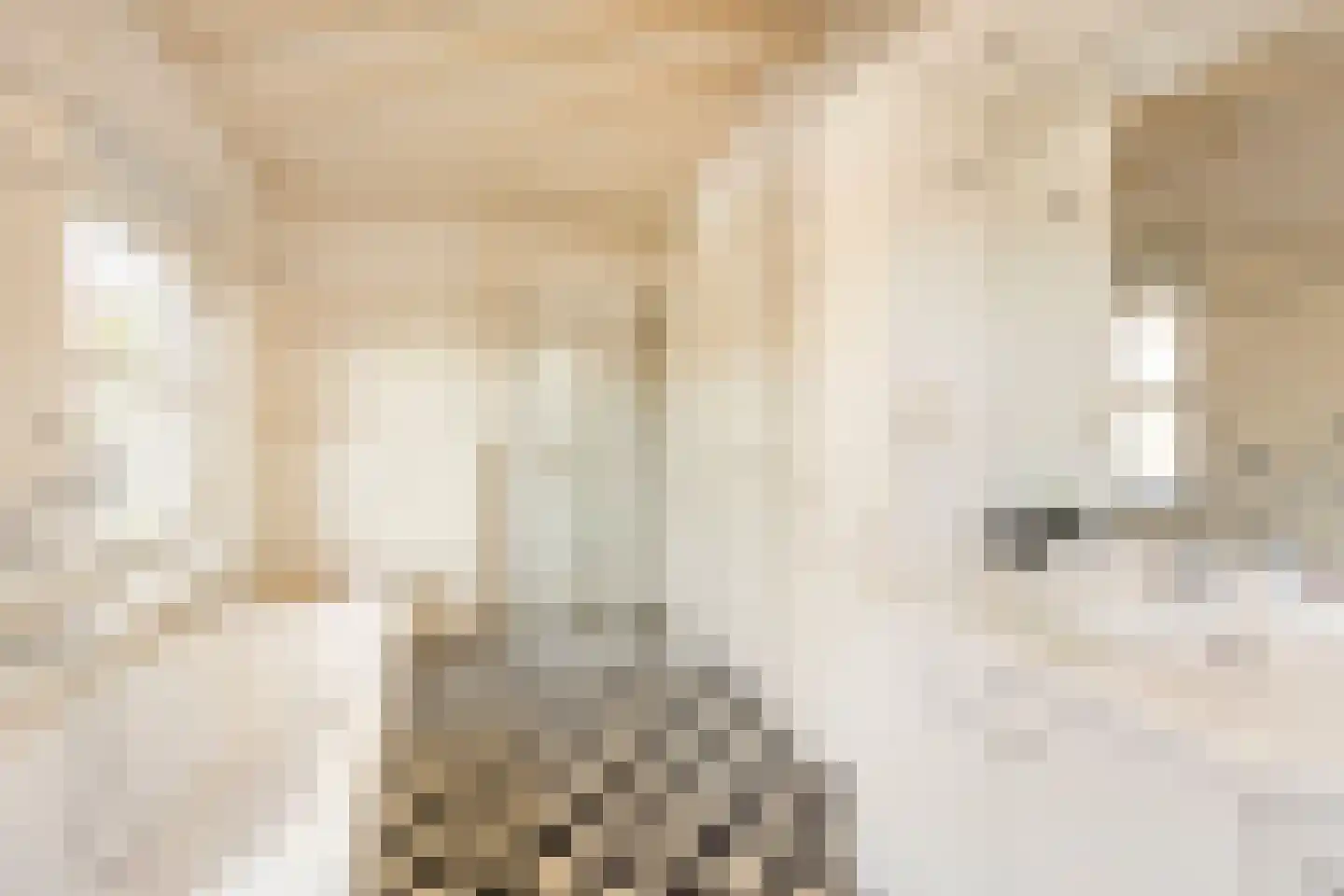 Mazijk 5 Wijk bij Duurstede thumbnail 24
