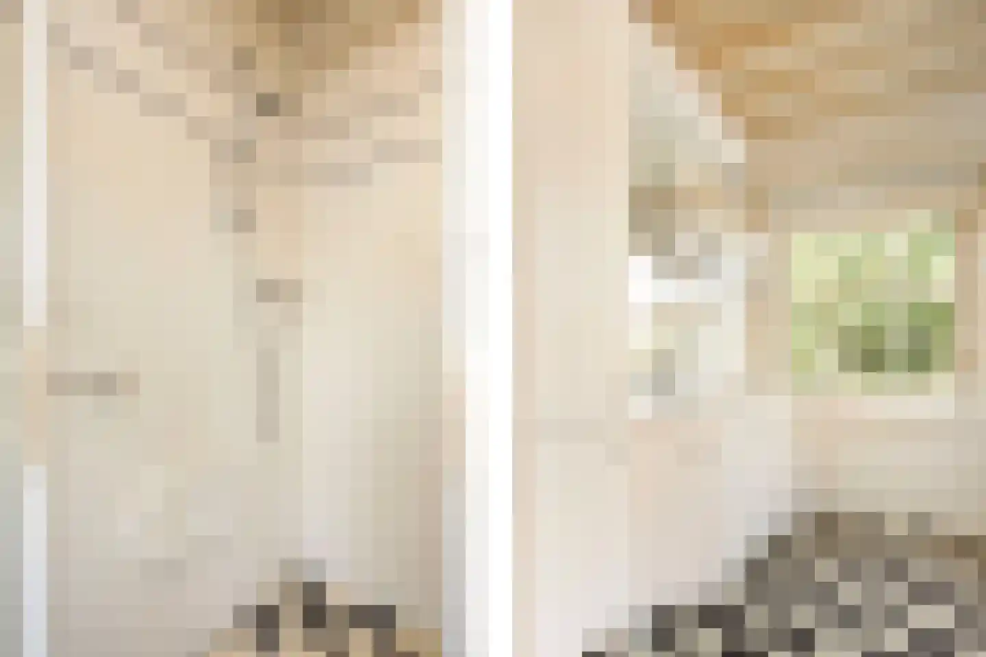 Mazijk 5 Wijk bij Duurstede thumbnail 25