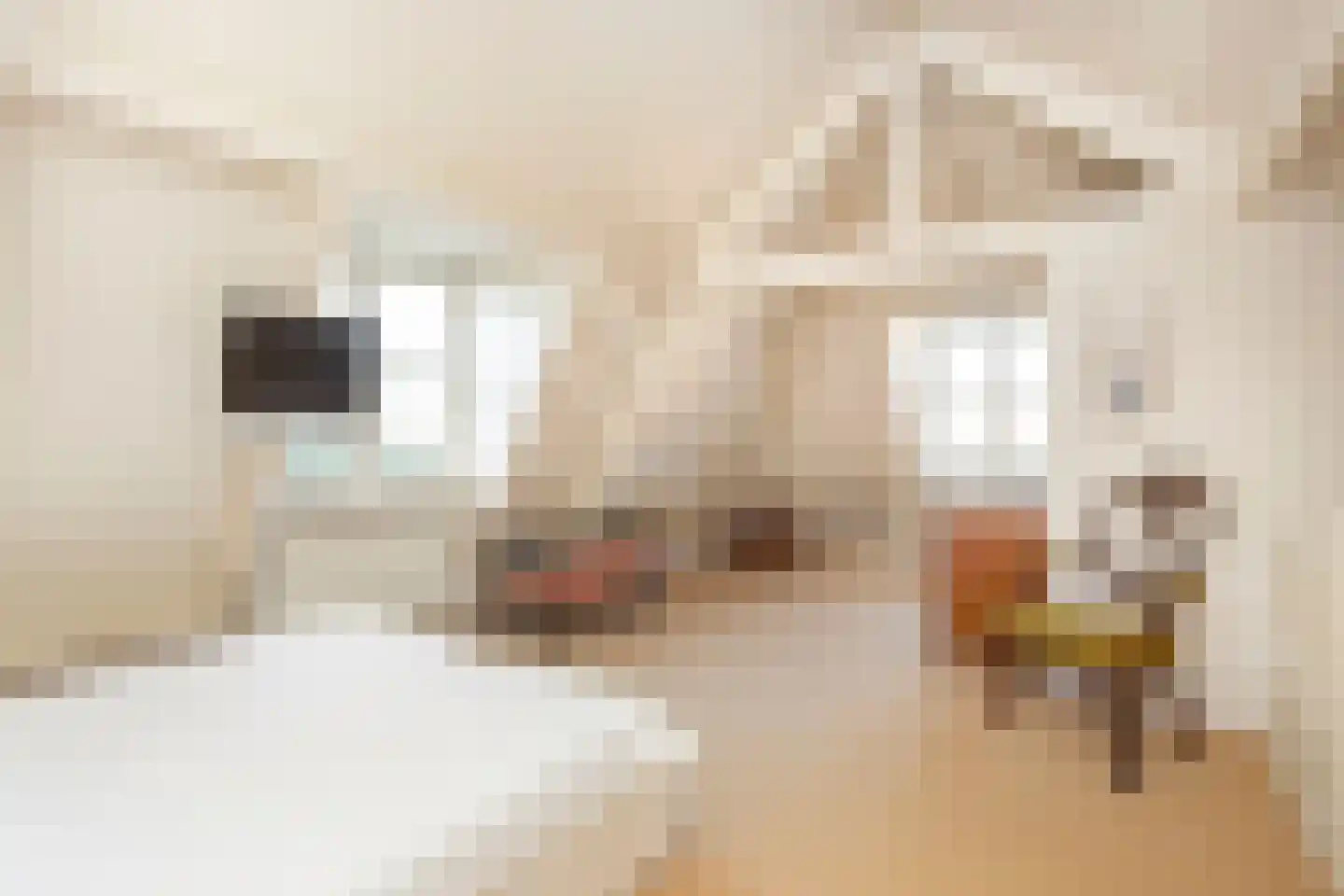 Mazijk 5 Wijk bij Duurstede thumbnail 27
