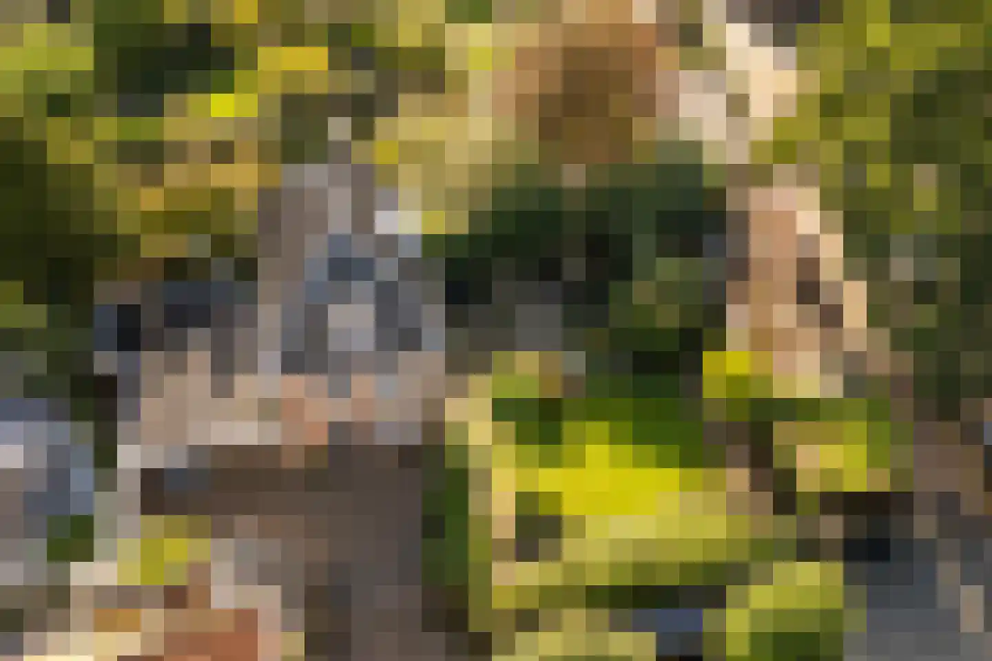 Mazijk 5 Wijk bij Duurstede thumbnail 40
