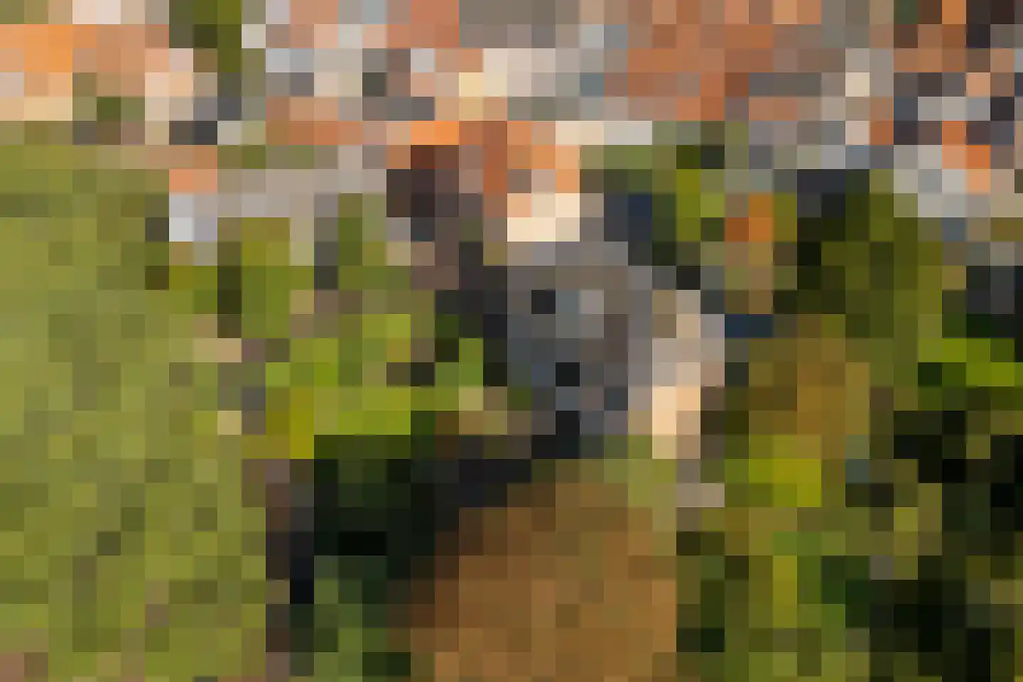 Mazijk 5 Wijk bij Duurstede thumbnail 41