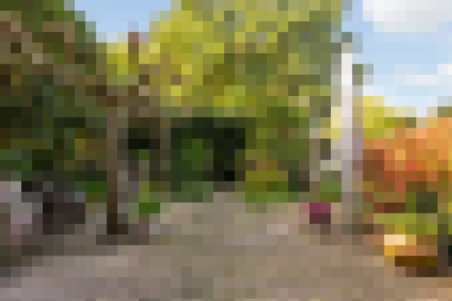 Mazijk 5 Wijk bij Duurstede thumbnail 7